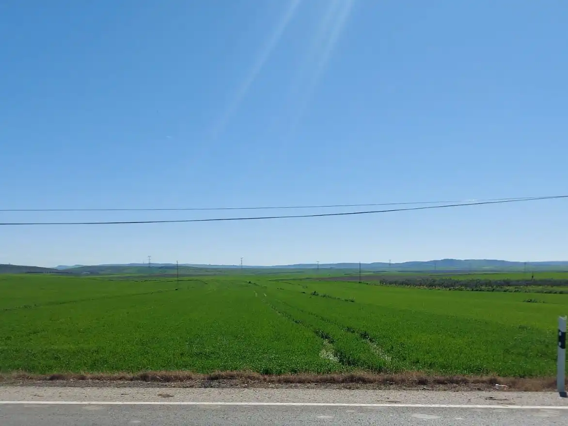 Terreny rústic en venda a Carretera A-477 4, imagen 13