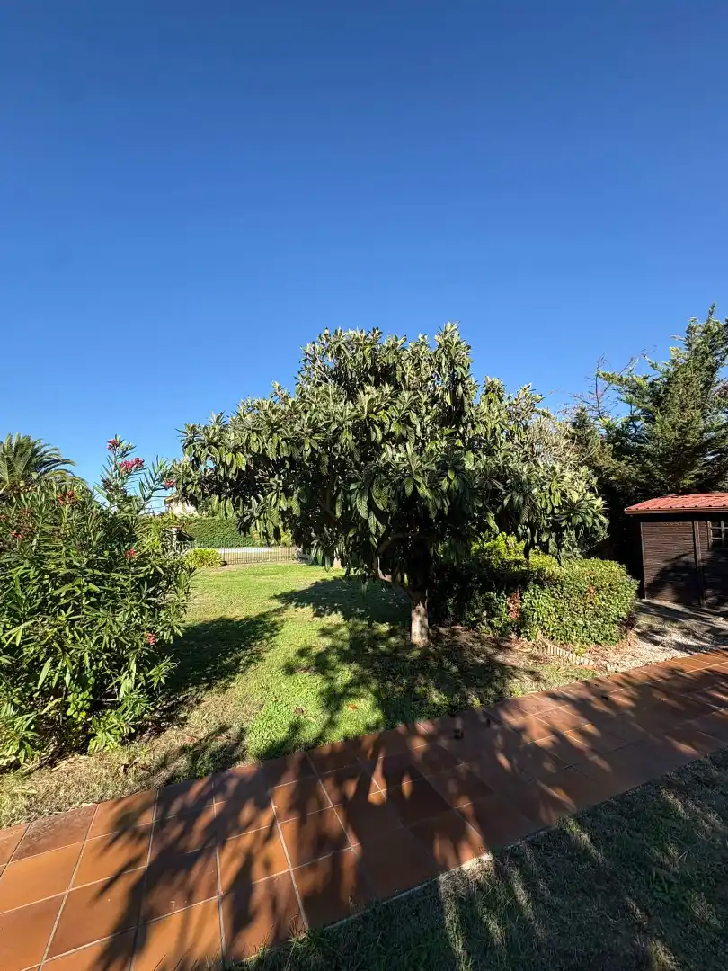 Jardín de Terreno en venta en Albelda de Iregua
