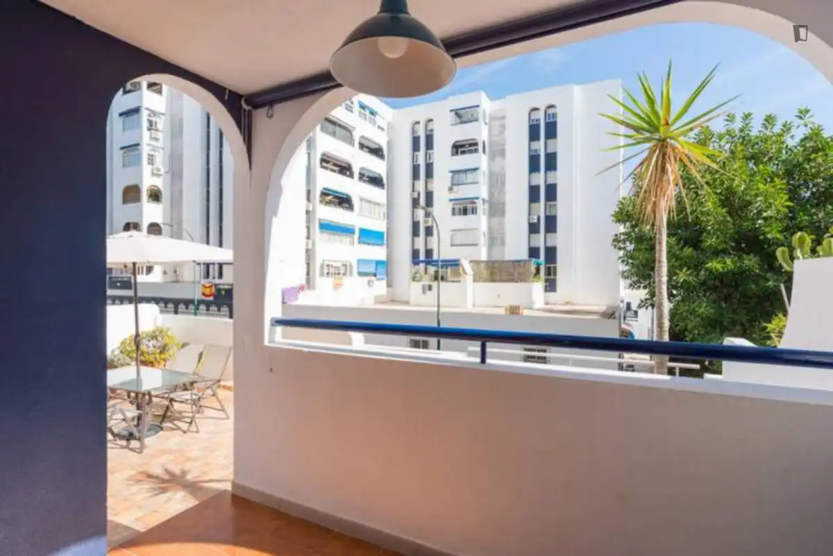 Apartments for rent in El Palo