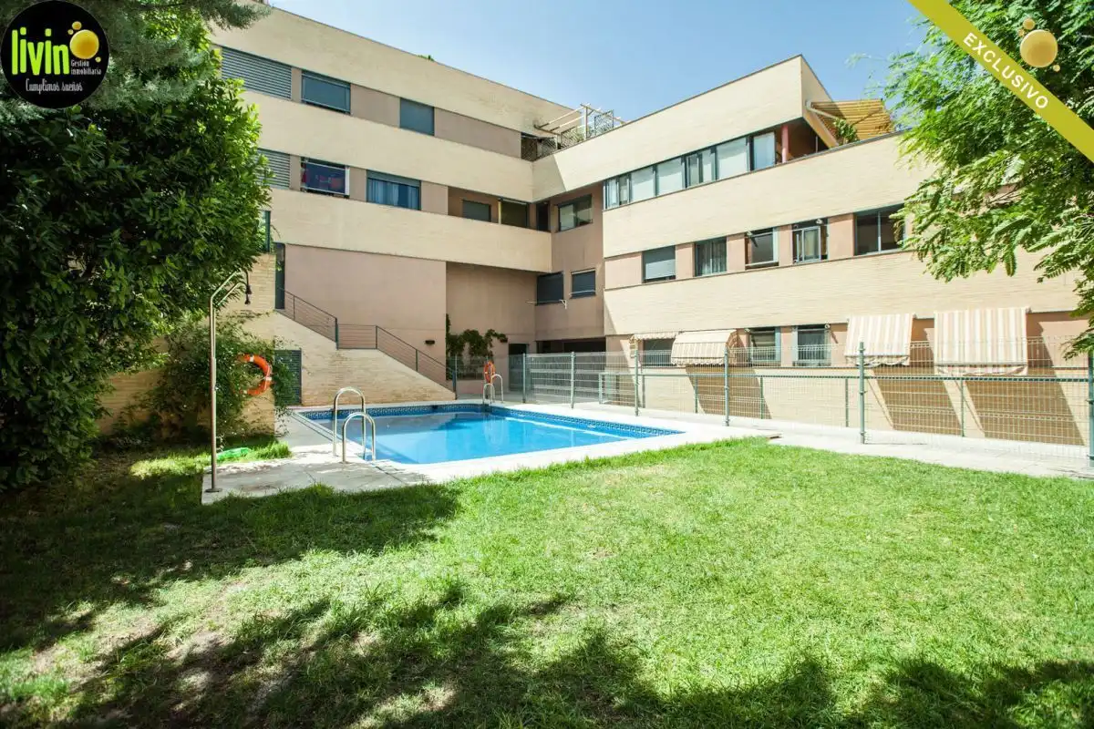 Swimming pool of Flat for rent in Jaén  with Air Conditioner, Heating and Community pool