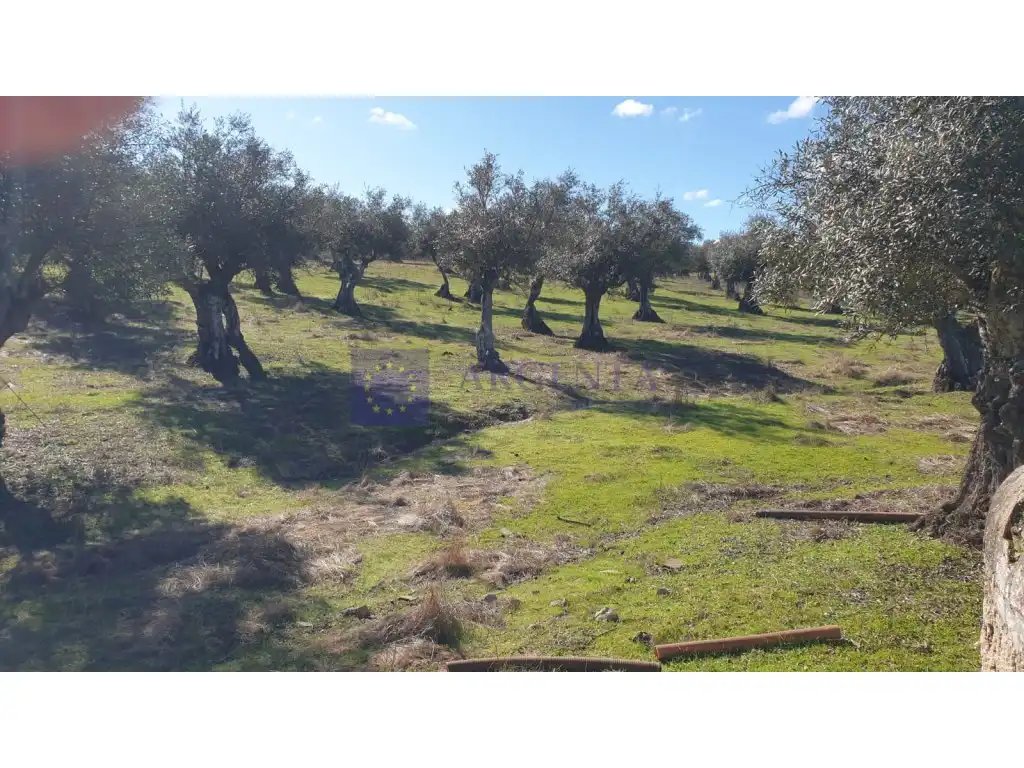 Houses for sale in Diseminados S Miguel, Alcántara