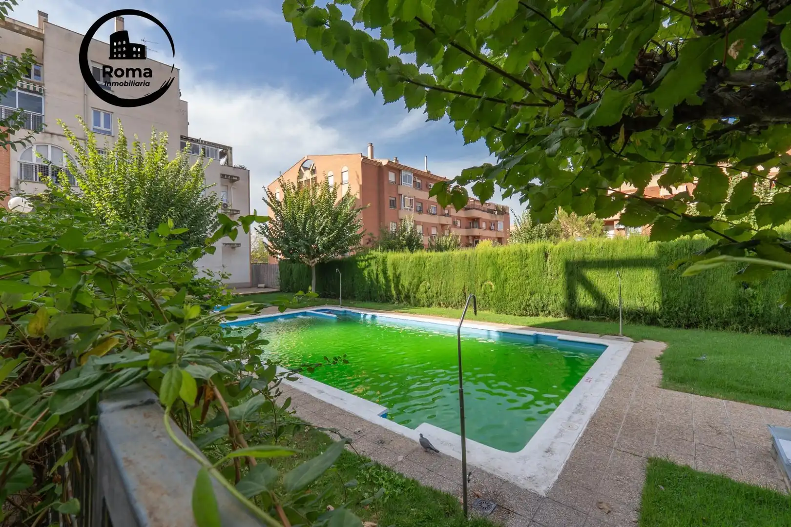 Piso con ascensor en venta en Norte, imagen 55