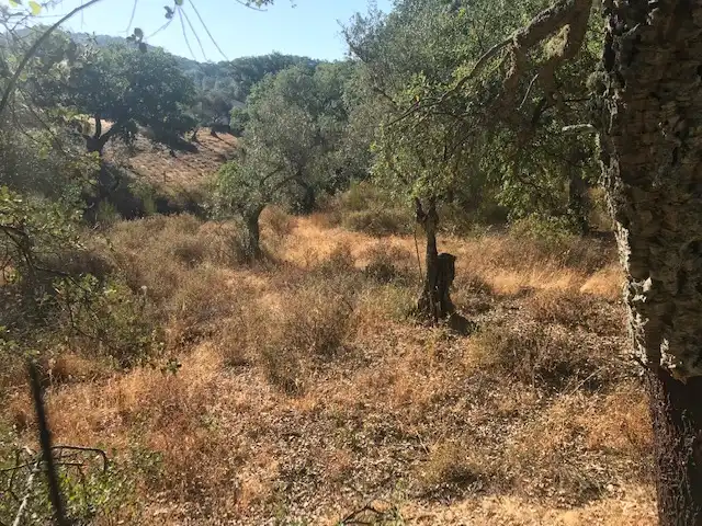 Terreni e lotti in vendita a Cortegana, imagen 32