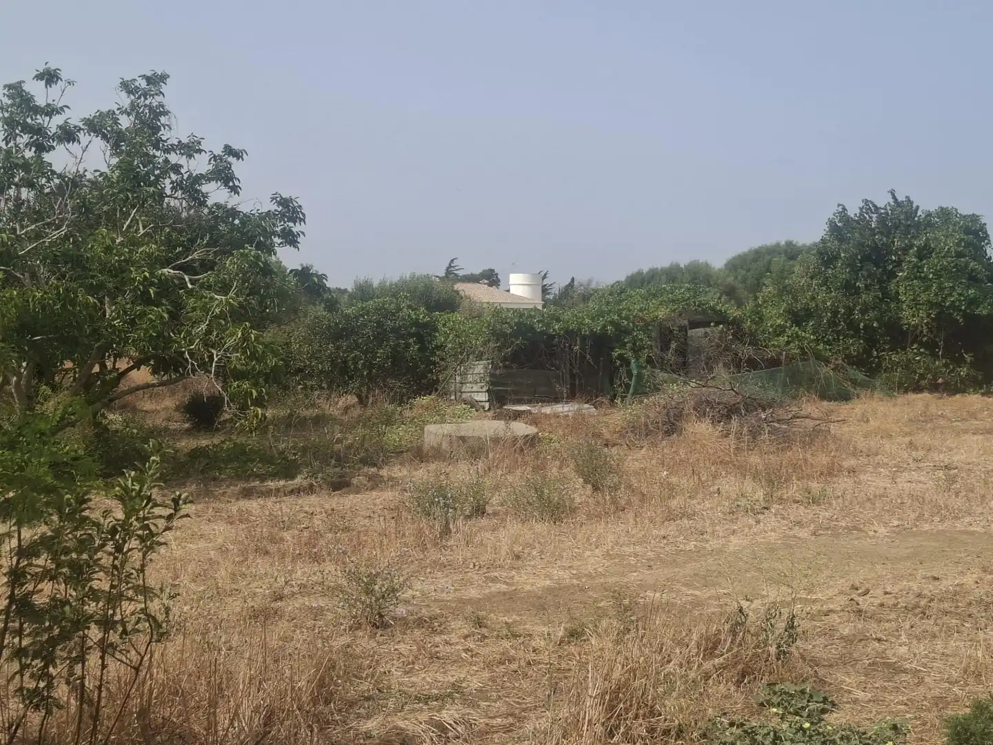 Residential land for sale in Pelagatos - Pago del Humo, imagen 8