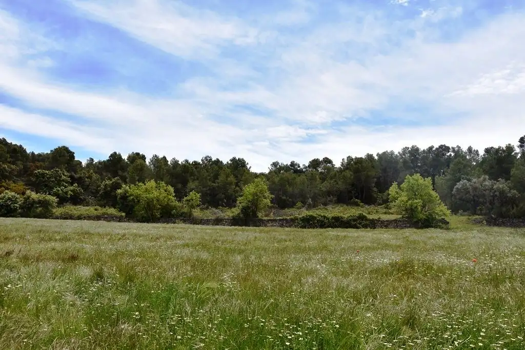 Terreni e lotti in vendita a Arens de Lledó, imagen 14