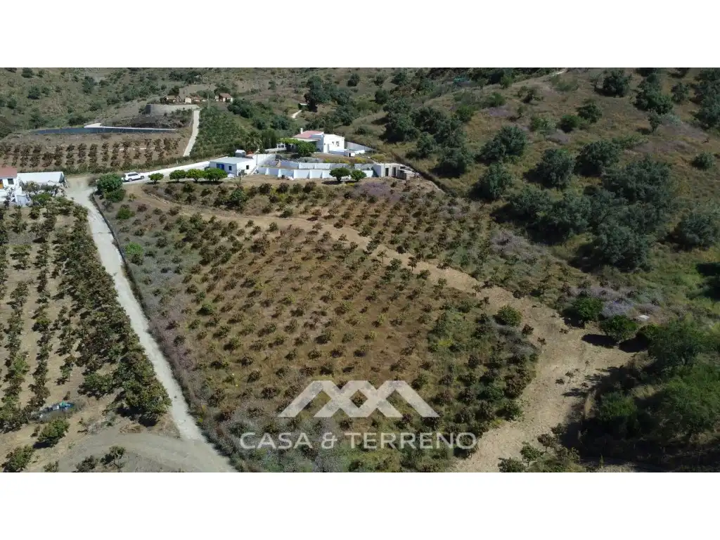 Villa mit Pool zum Verkauf in los aleses