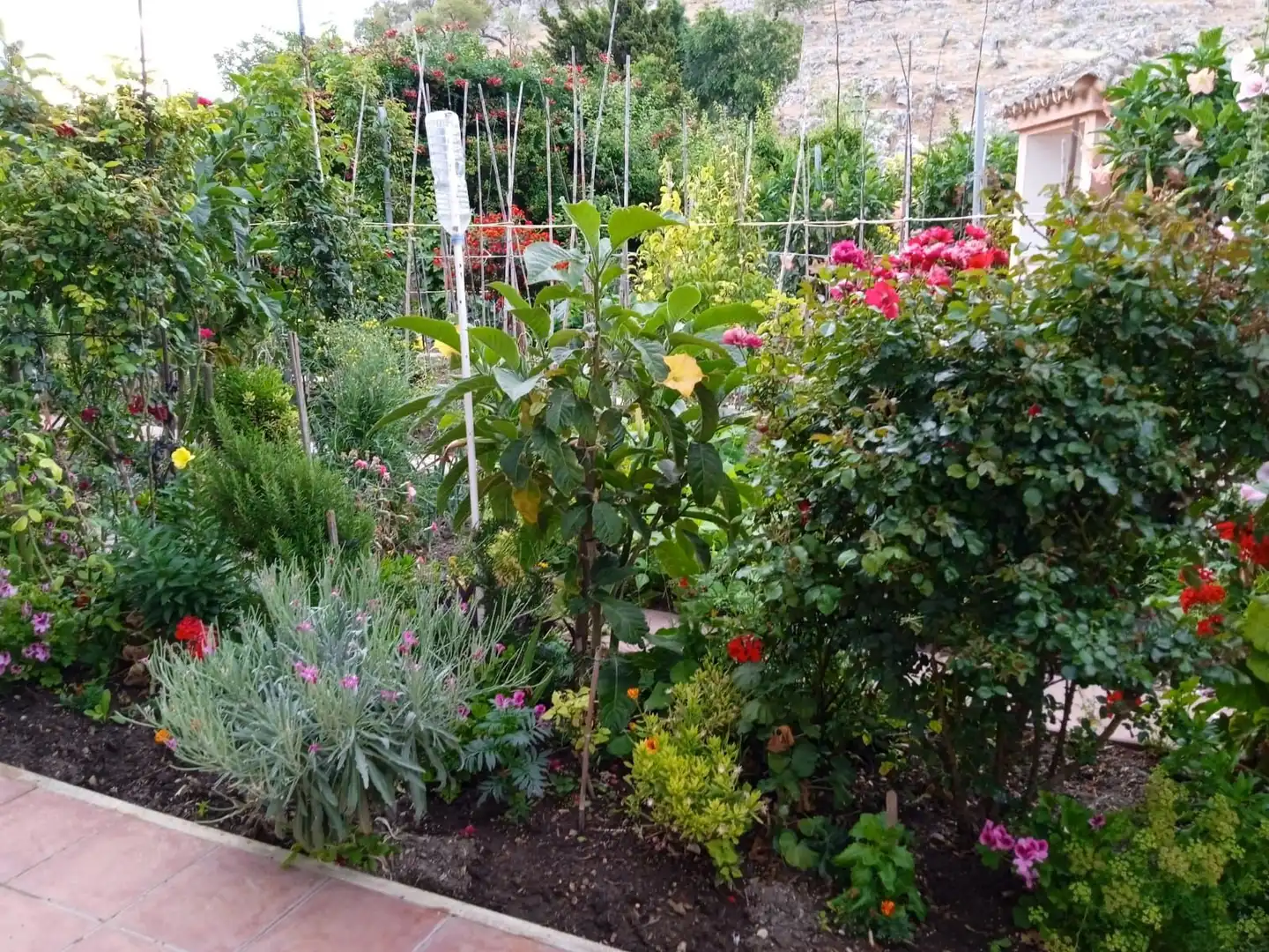 Jardín de Casa o chalet en venta en Cuevas del Becerro con Aire acondicionado, Calefacción y Jardín privado