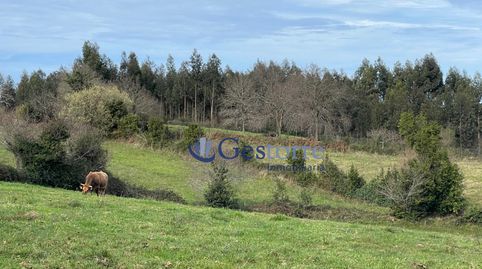 Foto 5 de Residencial en venta en Colunga - Lugar Castiello, 12, Selorio - Tornón, Villaviciosa