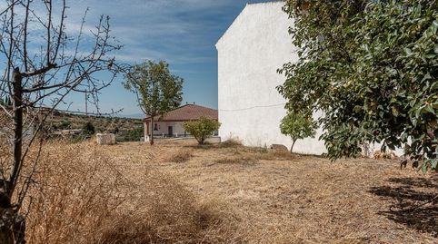 SE VENDE EXCEPCIONAL TERRENO URBANO EN ALFACAR_GRANADA, immagine 5