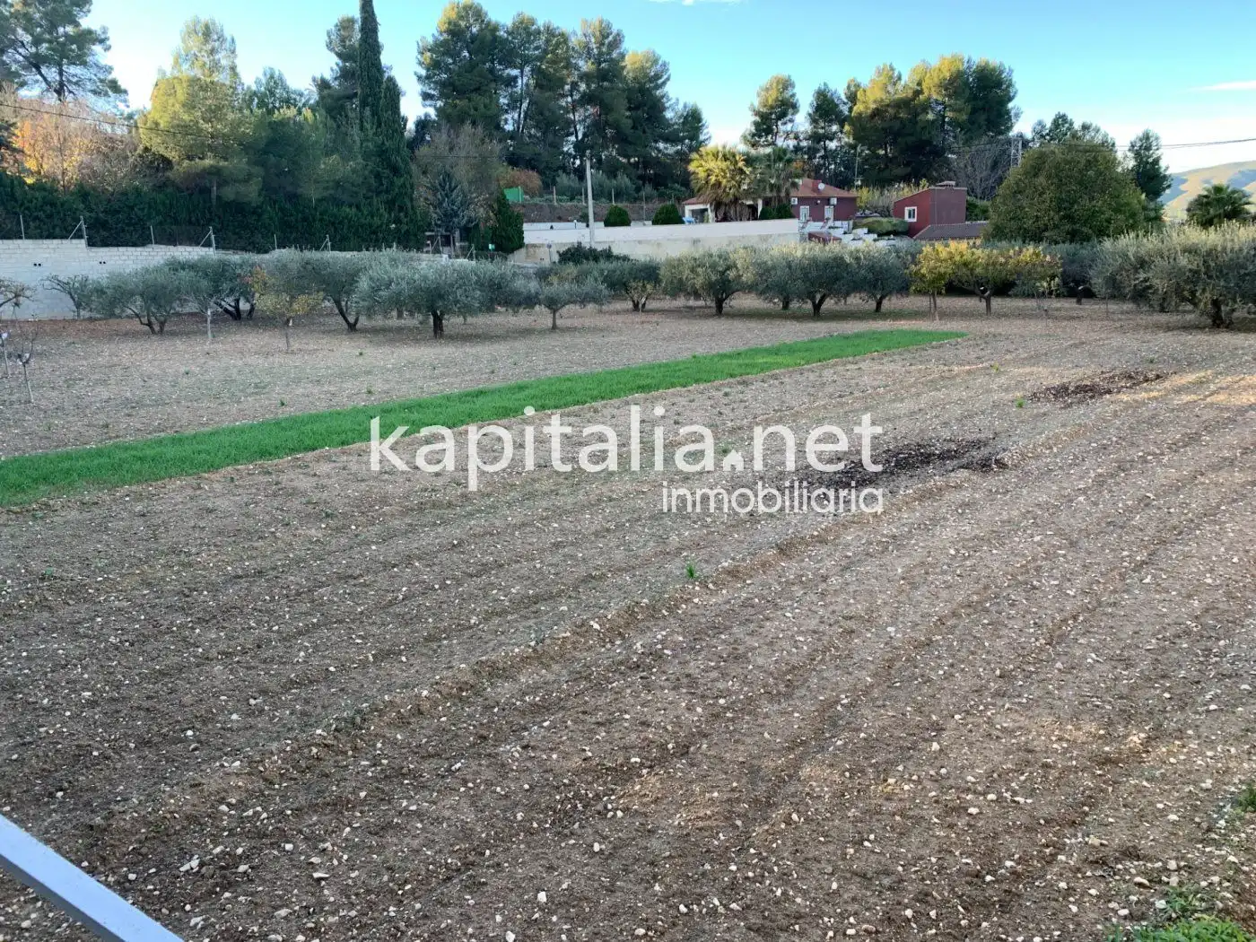 Detached house with pool for sale in El Llombo, imagen 4
