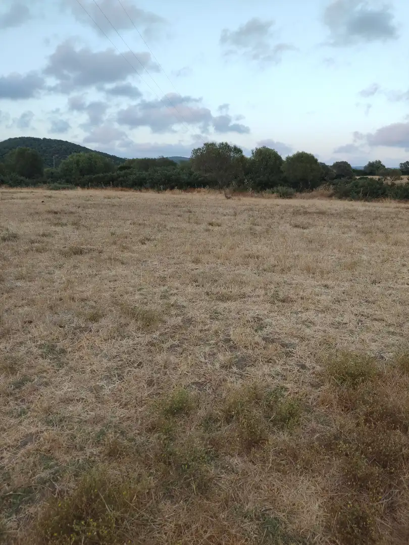 Land for sale in Vejer de la Frontera