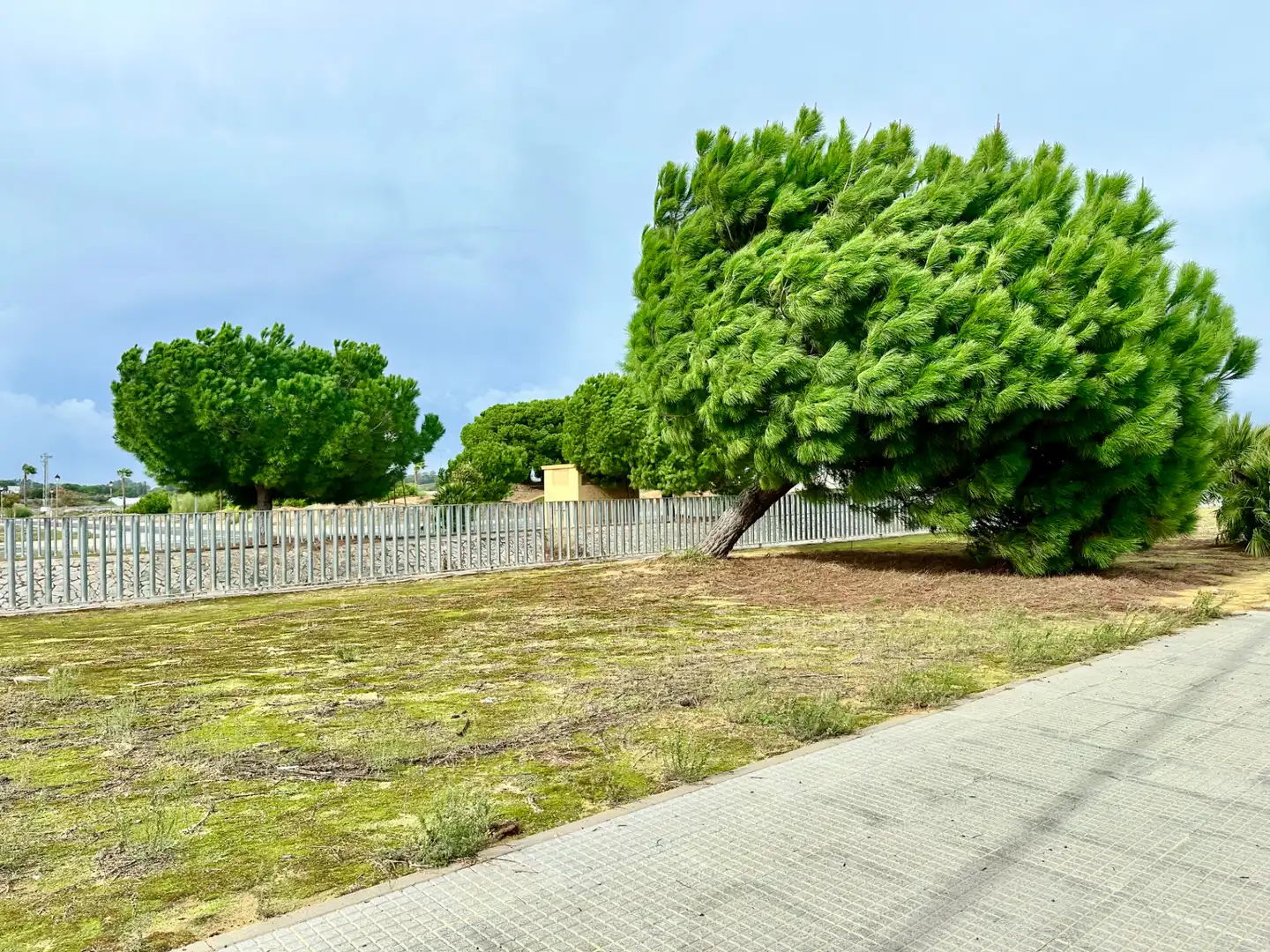 Terreno residenziale in vendita a Calle Pablo Sarasate, imagen 2