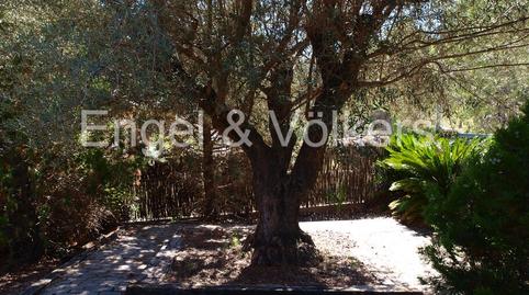 Photo 3 of House or chalet to rent in Vallirana, Barcelona