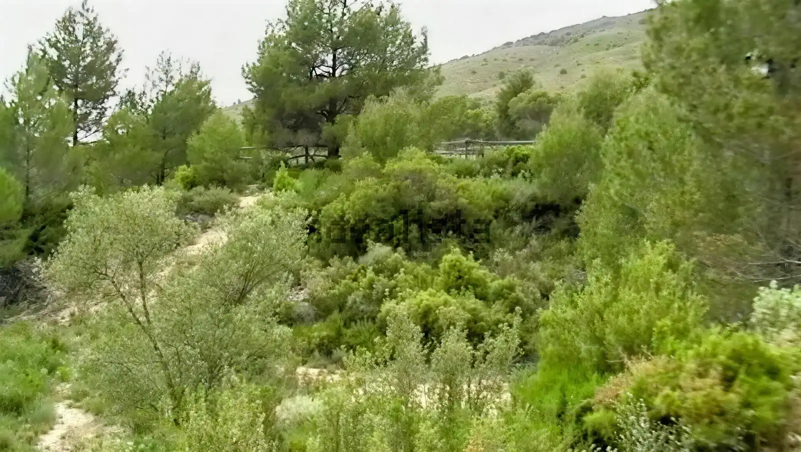 Rural land for sale in Camino Partida Foyetes, imagen 3