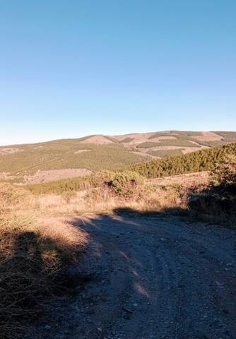 Terreno en Venta en N/A en Bacares