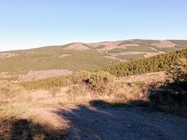 Terreno rustico in vendita a Bacares