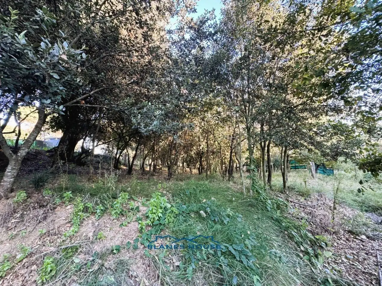 Finca rústica en venda en Tordera amb Jardí privat