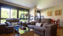 Living room of Flat for sale in  Madrid Capital  with Air Conditioner, Heating and Private garden