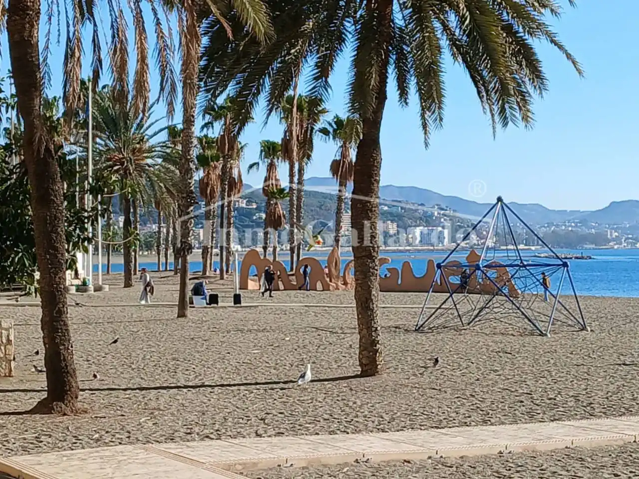 Exterior view of Apartments for rent in Málaga  with Terrace and Furnished