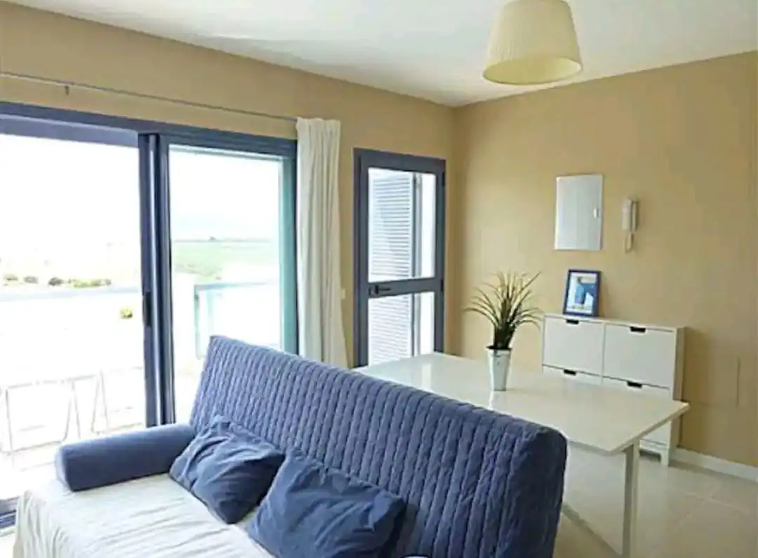 Penthouse with pool for sale in Calle Cigüeña Negra, imagen 18