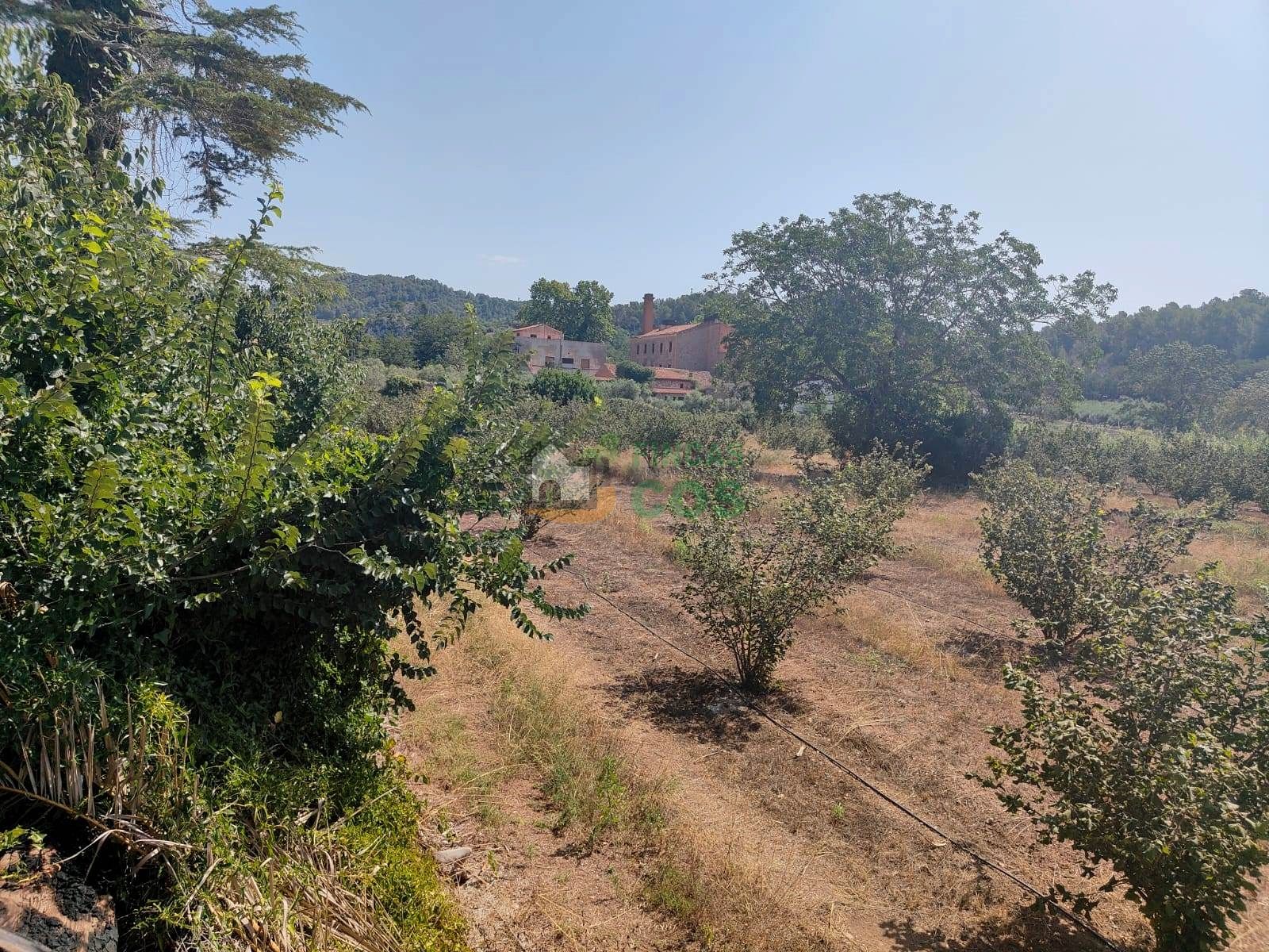 Casa o xalet en venda en Alcover