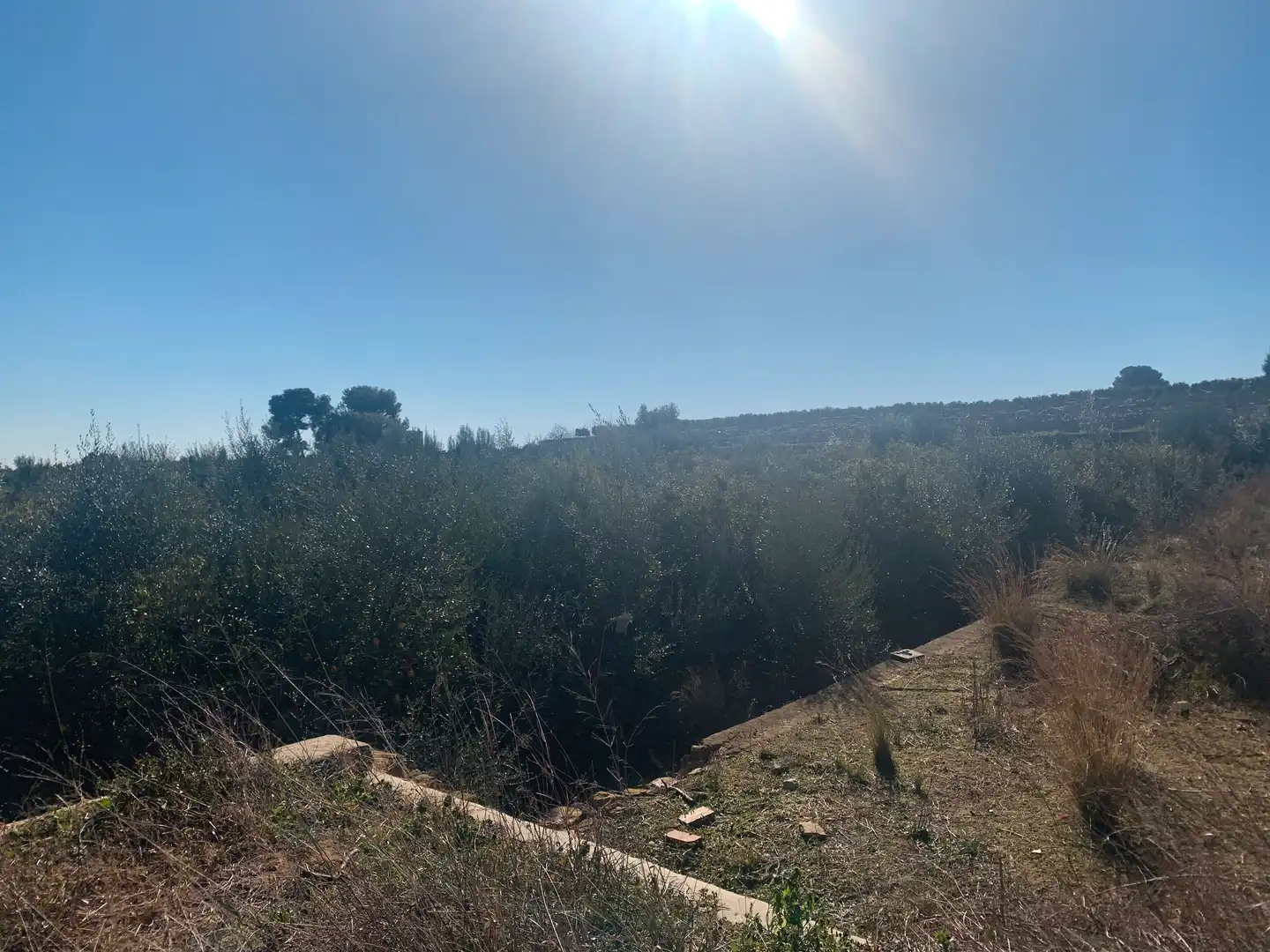 Land for sale in Picassent