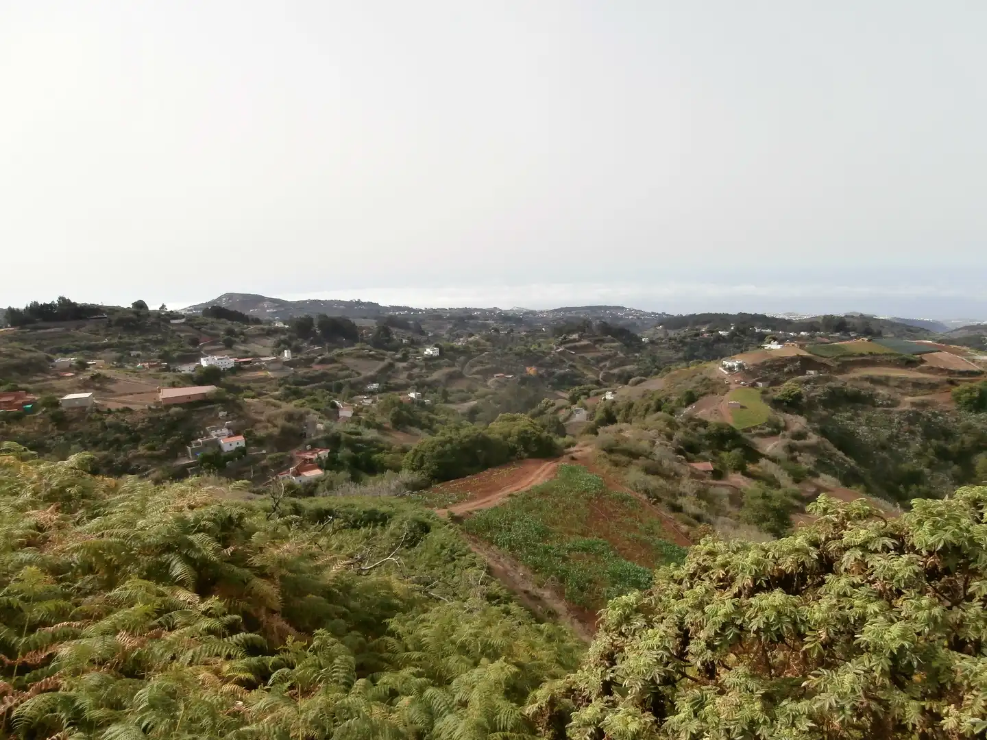 Finca rústica en venta en Camino Lomo el Marco, 41, Moya (Las Palmas)