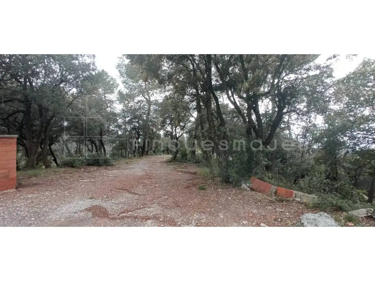 Terreny rústic en venda a Vacarisses