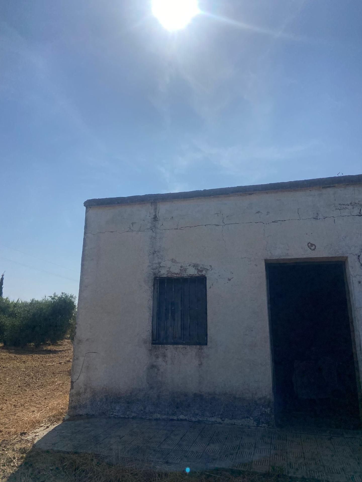 Außenansicht von Grundstücke zum verkauf in La Puebla de Cazalla