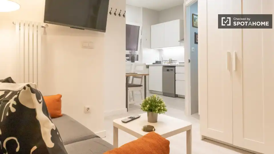 Room in Embajadores - Lavapiés