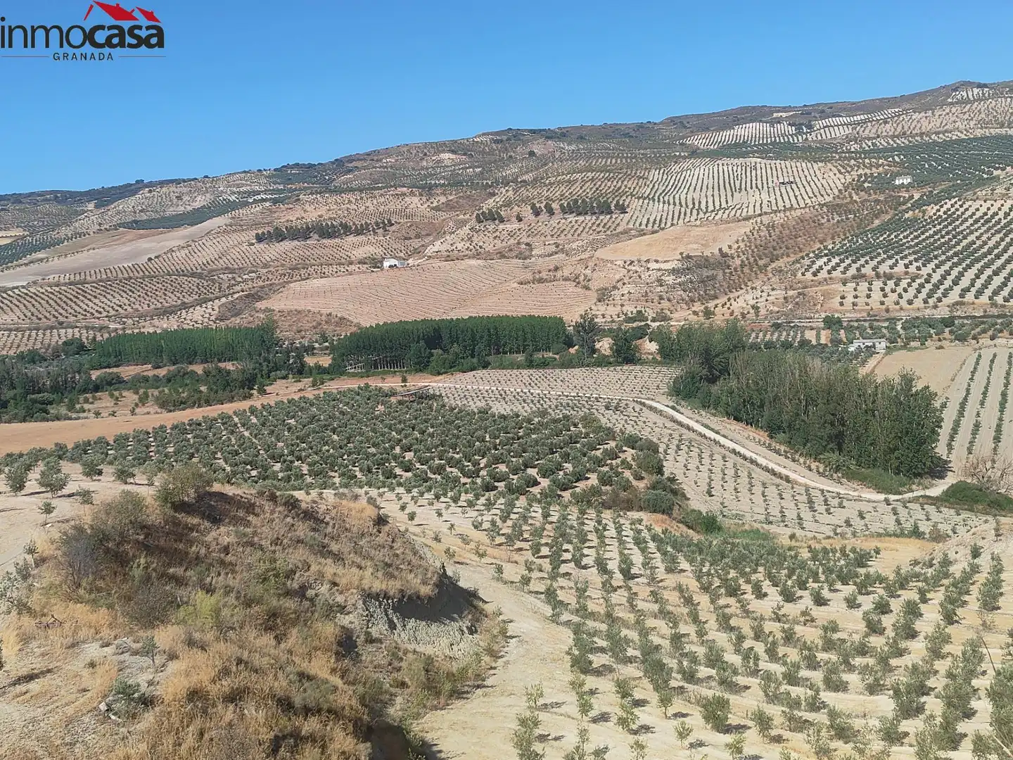 Rural land for sale in Santa Cruz del Comercio, imagen 2