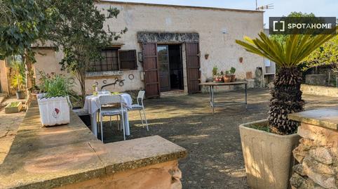 Foto 5 de Apartamento para compartir en Sa Pobla, Illes Balears