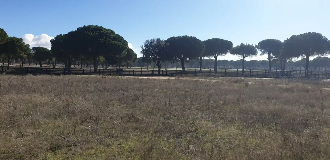 Terreni e lotti in vendita a Aldeamayor de San Martín, imagen 12