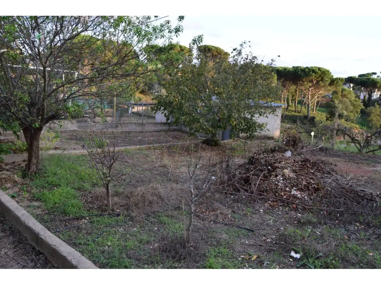 Terreno rústico en venta en Calle Carrer baix Ebre,, imagen 8