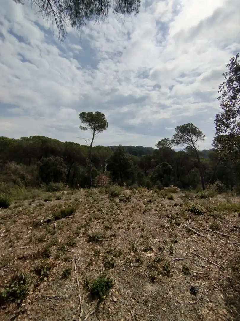 Terrenys i solars en venda a URGELL, AIGUESBONES, imagen 3