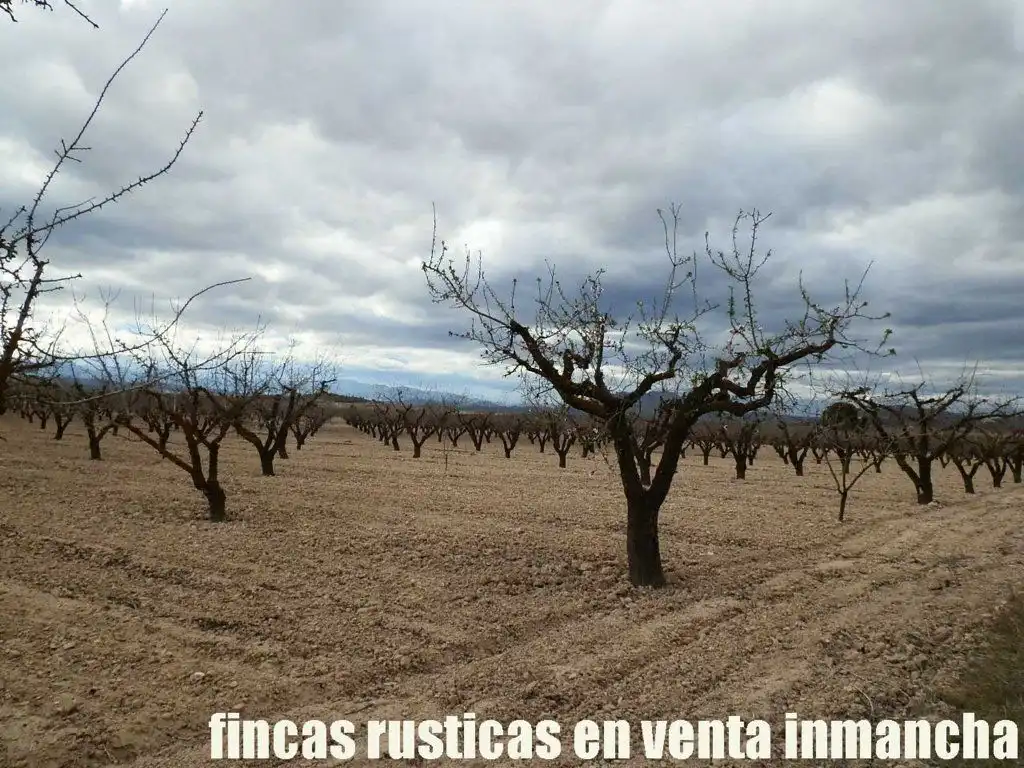 Rustikales Grundstück zum Verkauf in Cieza, imagen 10