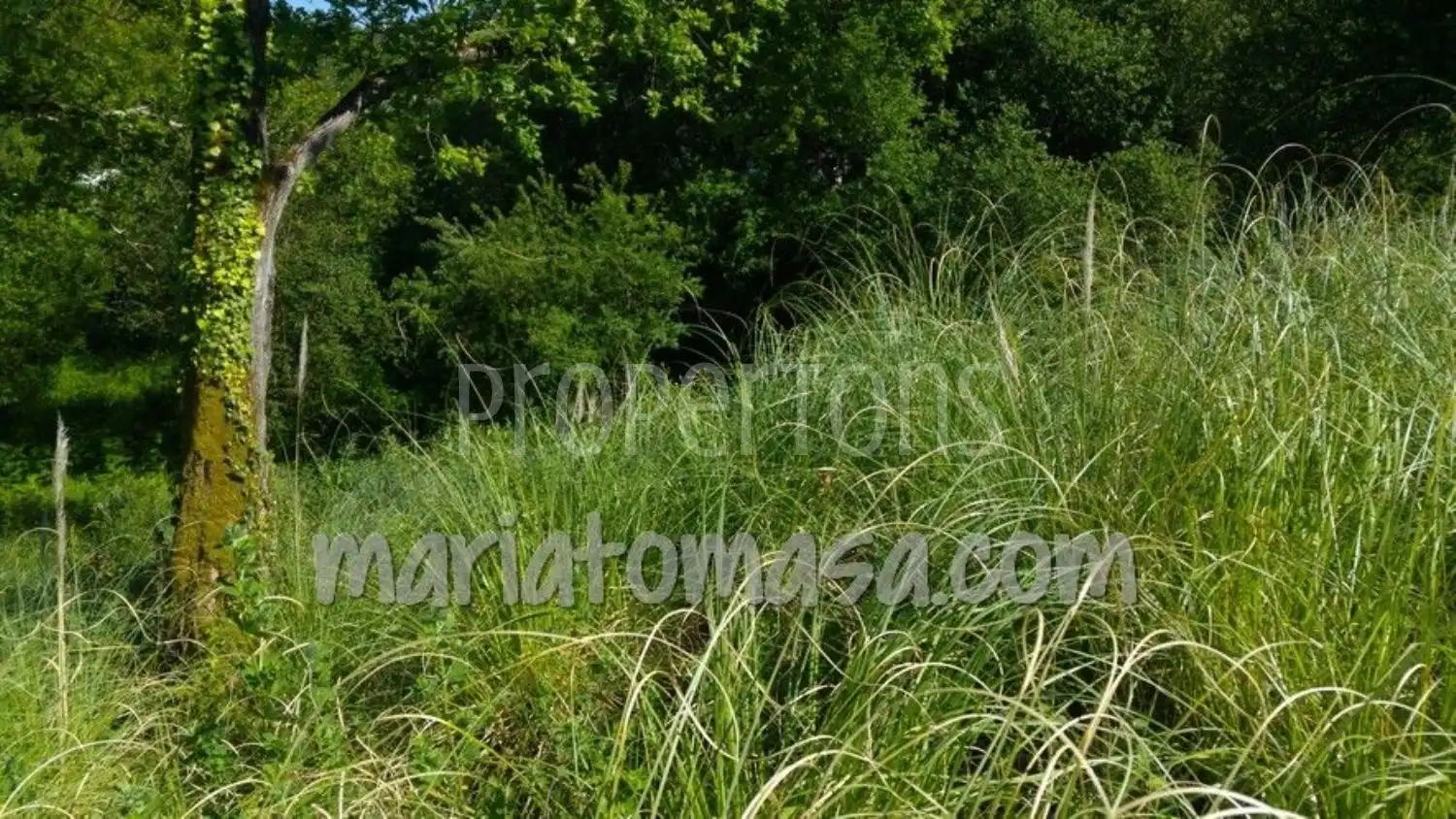 Lands and plots for sale in Mungia, imagen 3
