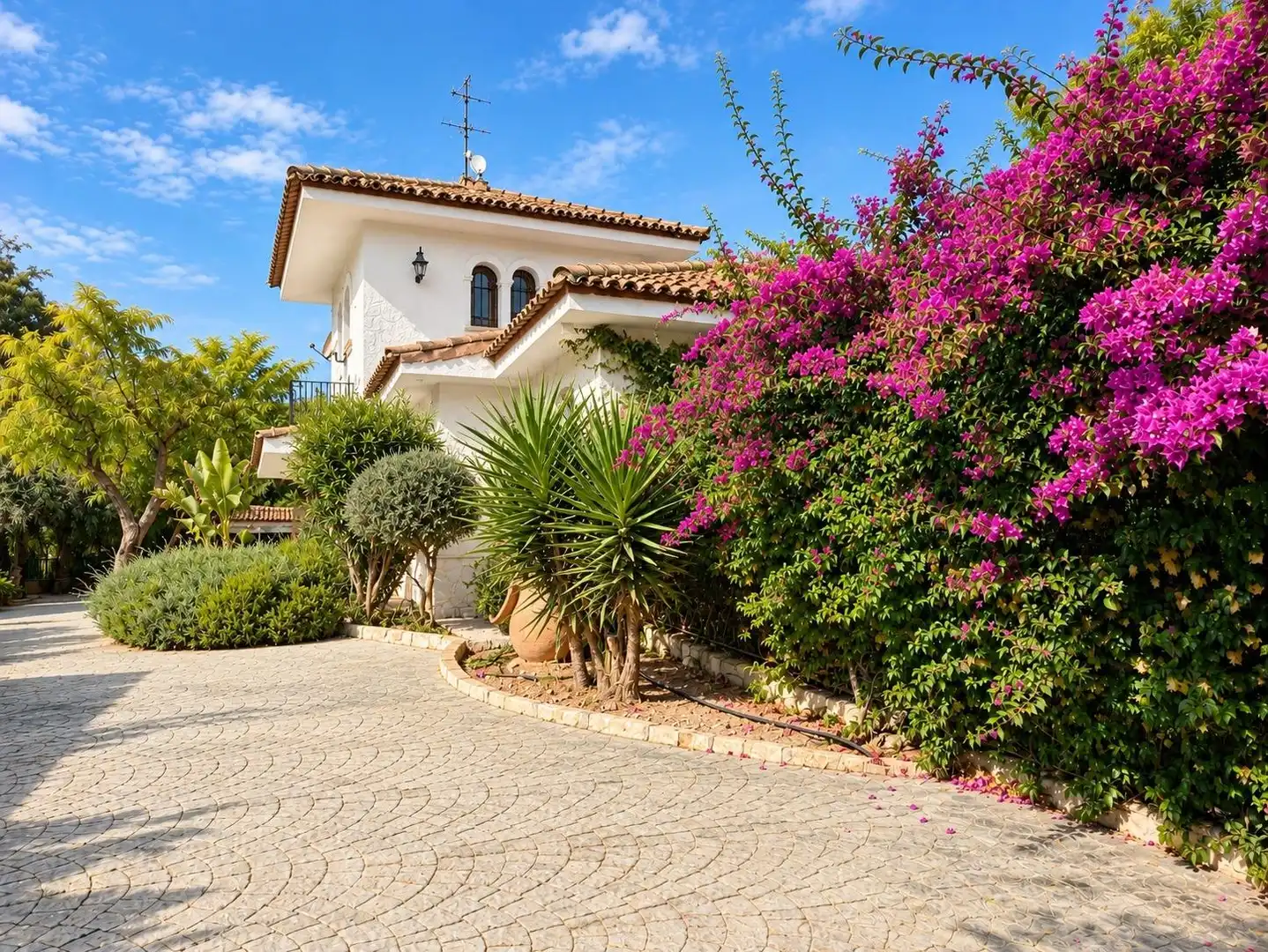 Detached house with pool for sale in La Algoda - Matola - Llano de San José, imagen 4