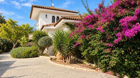 Photo 4 of Houses for sale in La Algoda - Matola - Llano de San José, Elche / Elx