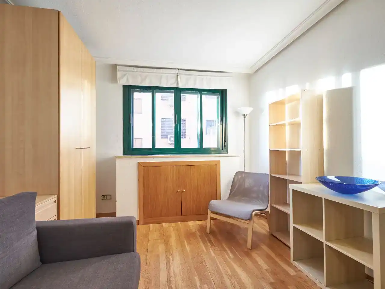 Sala d'estar de Estudi en venda en Madrid amb Aire condicionat, Jardí privat i Parquet