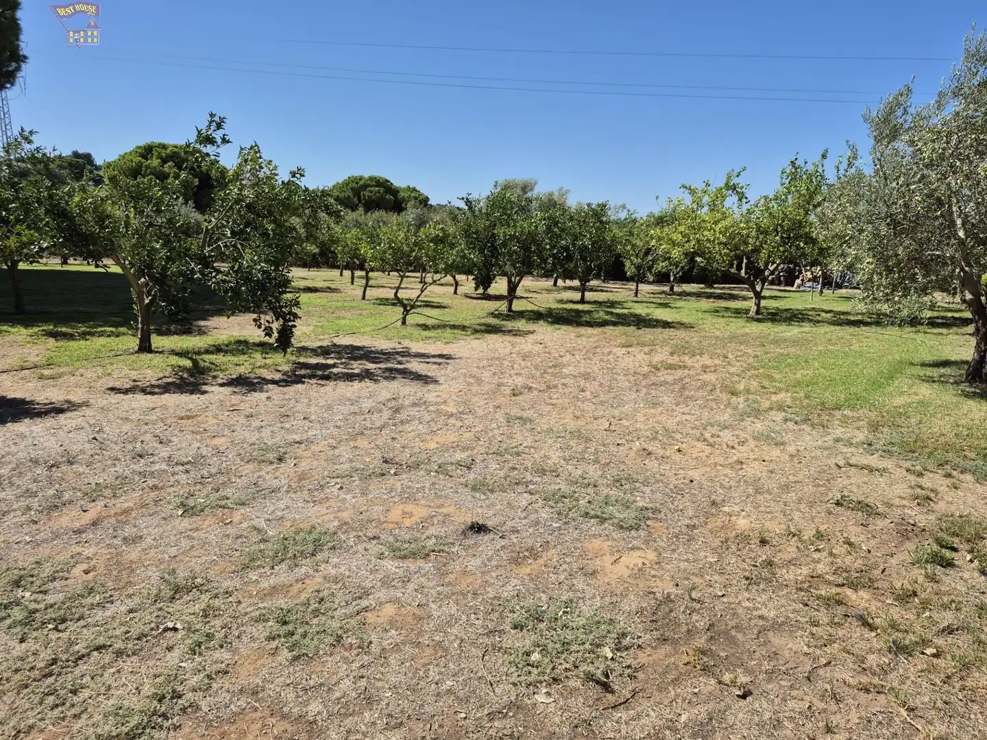 Villa avec piscine à vendre à Arcos de la Frontera, imagen 63