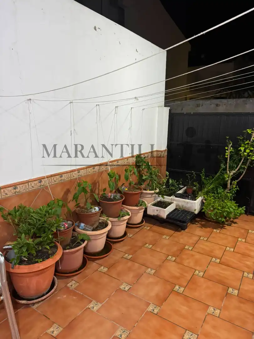 Garden of Detached homes for sale in Lepe  with Terrace, Oven and Microwave