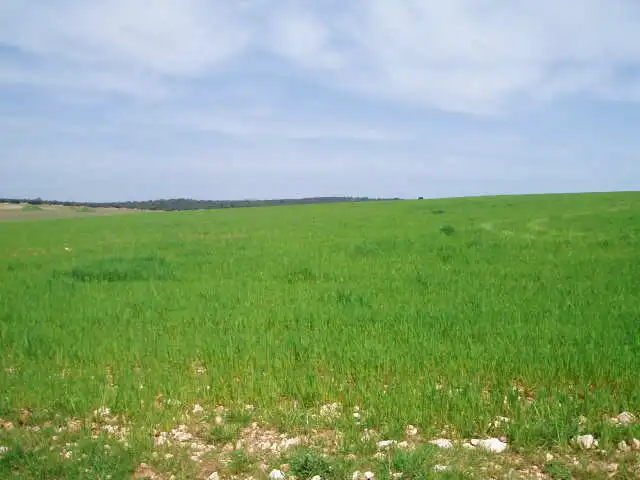 Terreni e lotti in vendita a Motilla del Palancar, imagen 2
