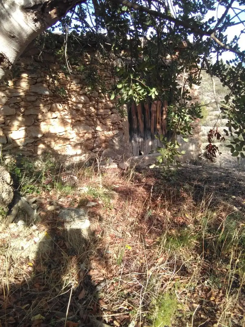 Country homes for sale in El Pinell de Brai