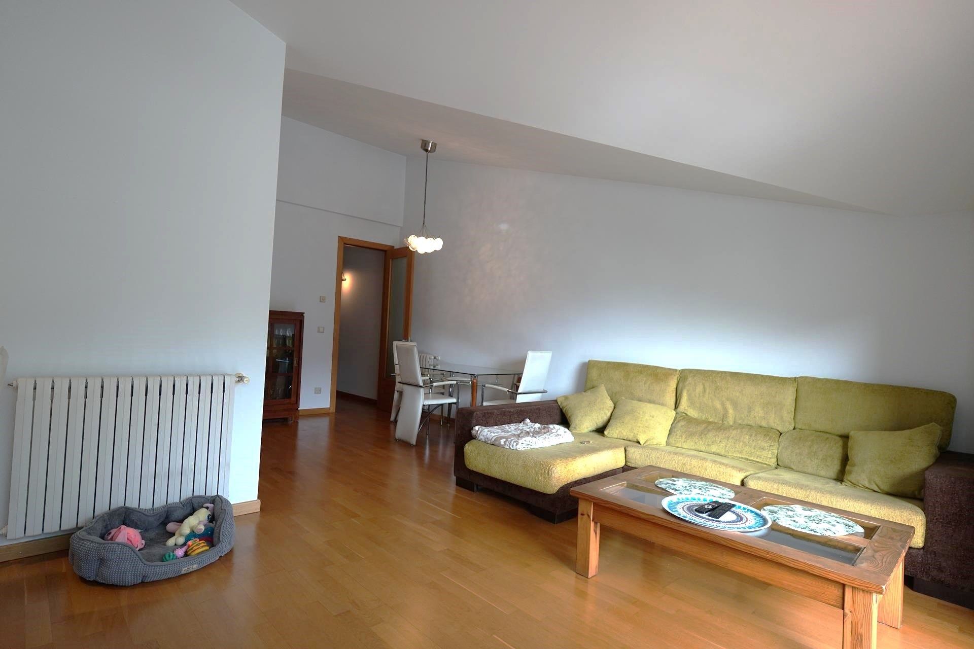 Sala de estar de Ático en venta en Encamp con Terraza