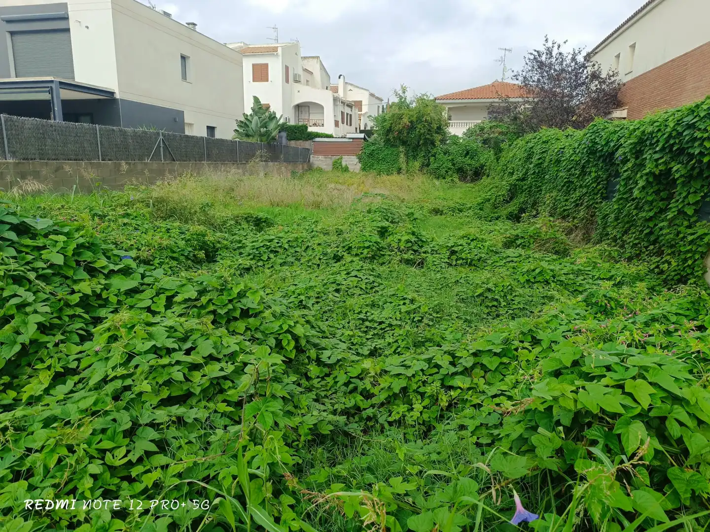 Terreno residenziale in vendita a Carrer del Progrés 10, imagen 5