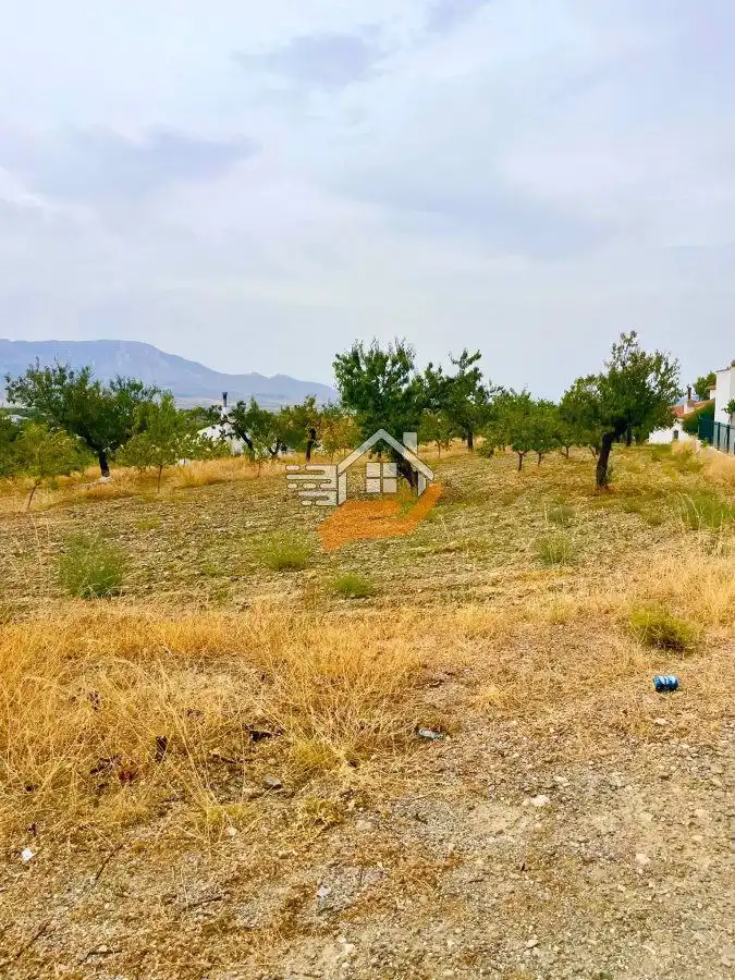 Grundstücke und Bauplätze zum Verkauf in Vélez-Rubio, imagen 5