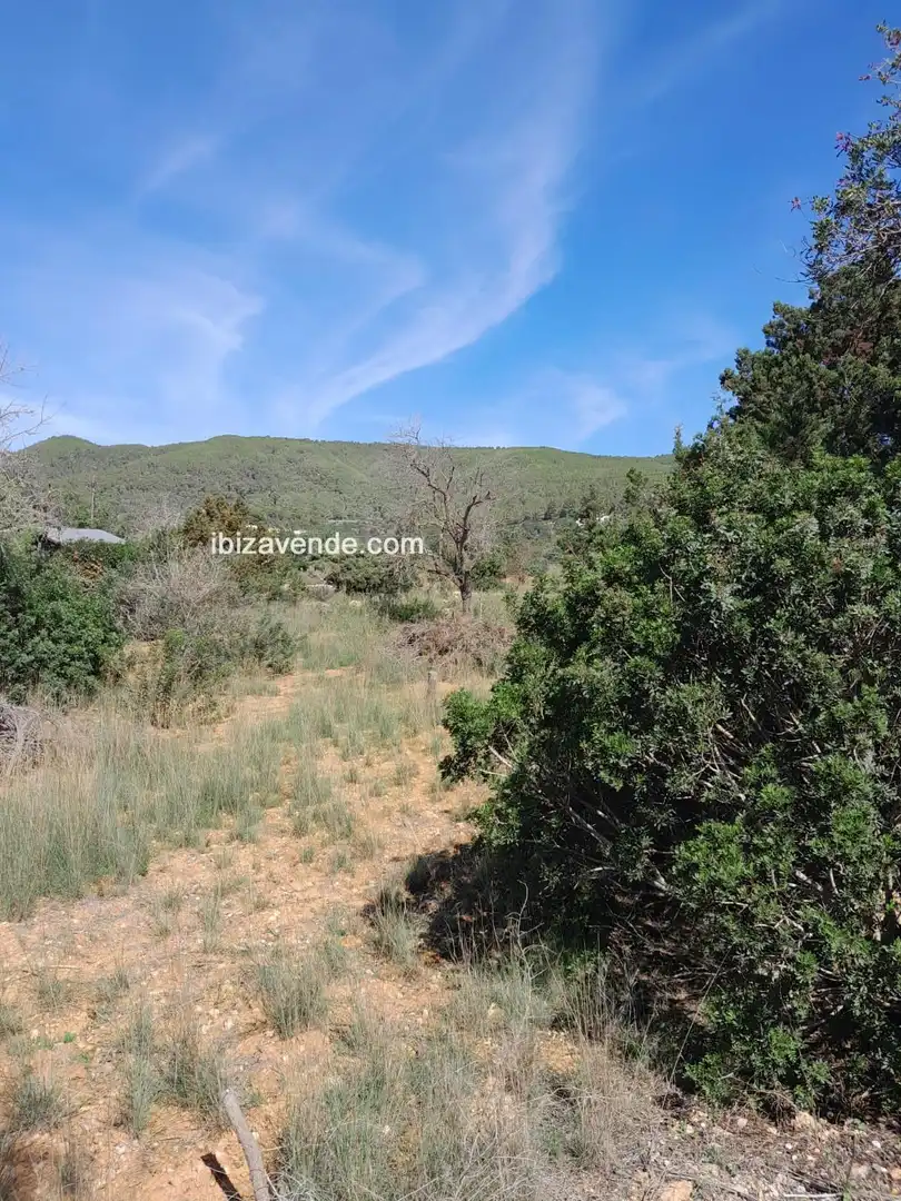 Terreno en venta en Es Canar, Sant Carles