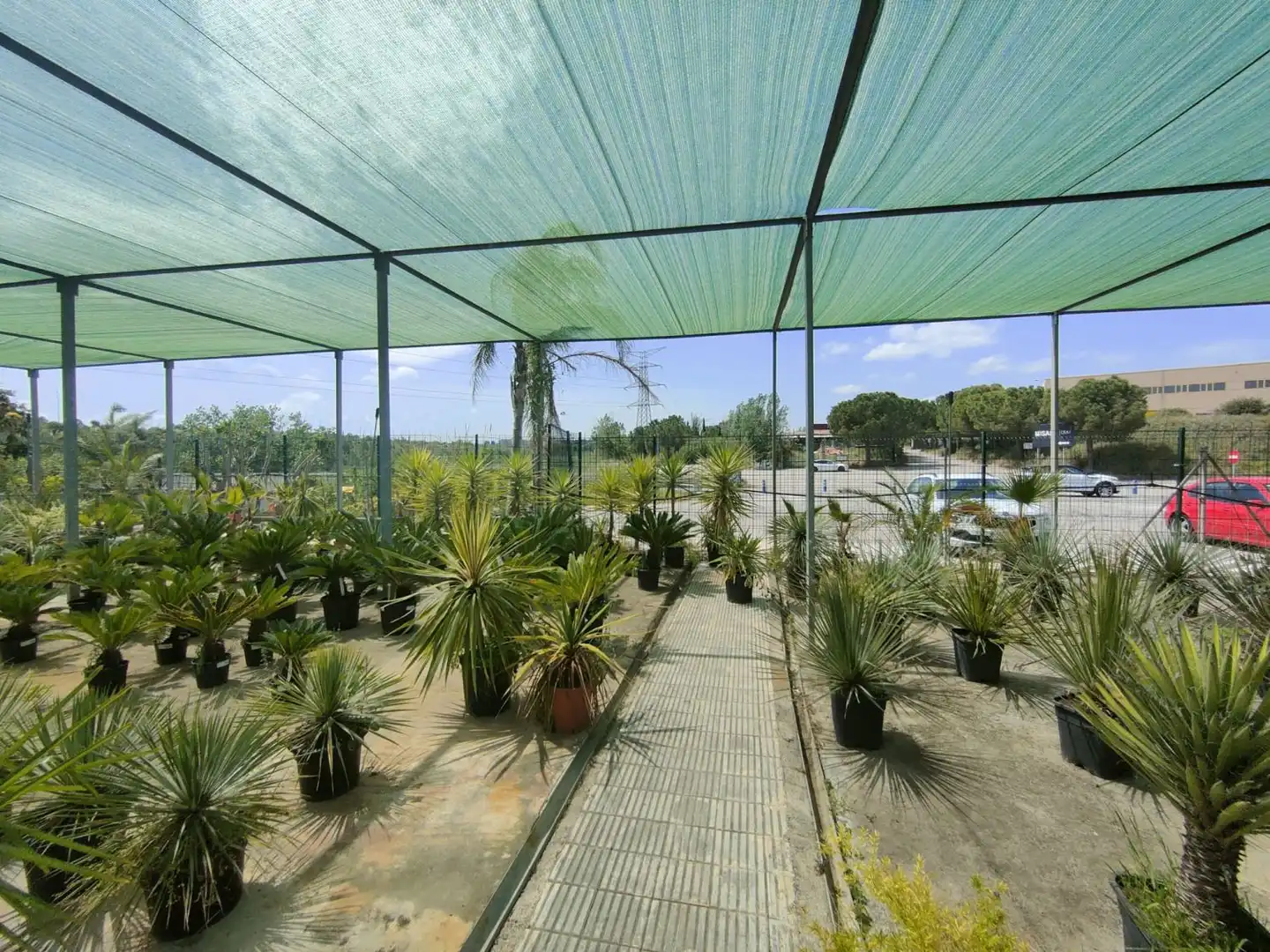 Terrace of Residential for sale in Esparreguera