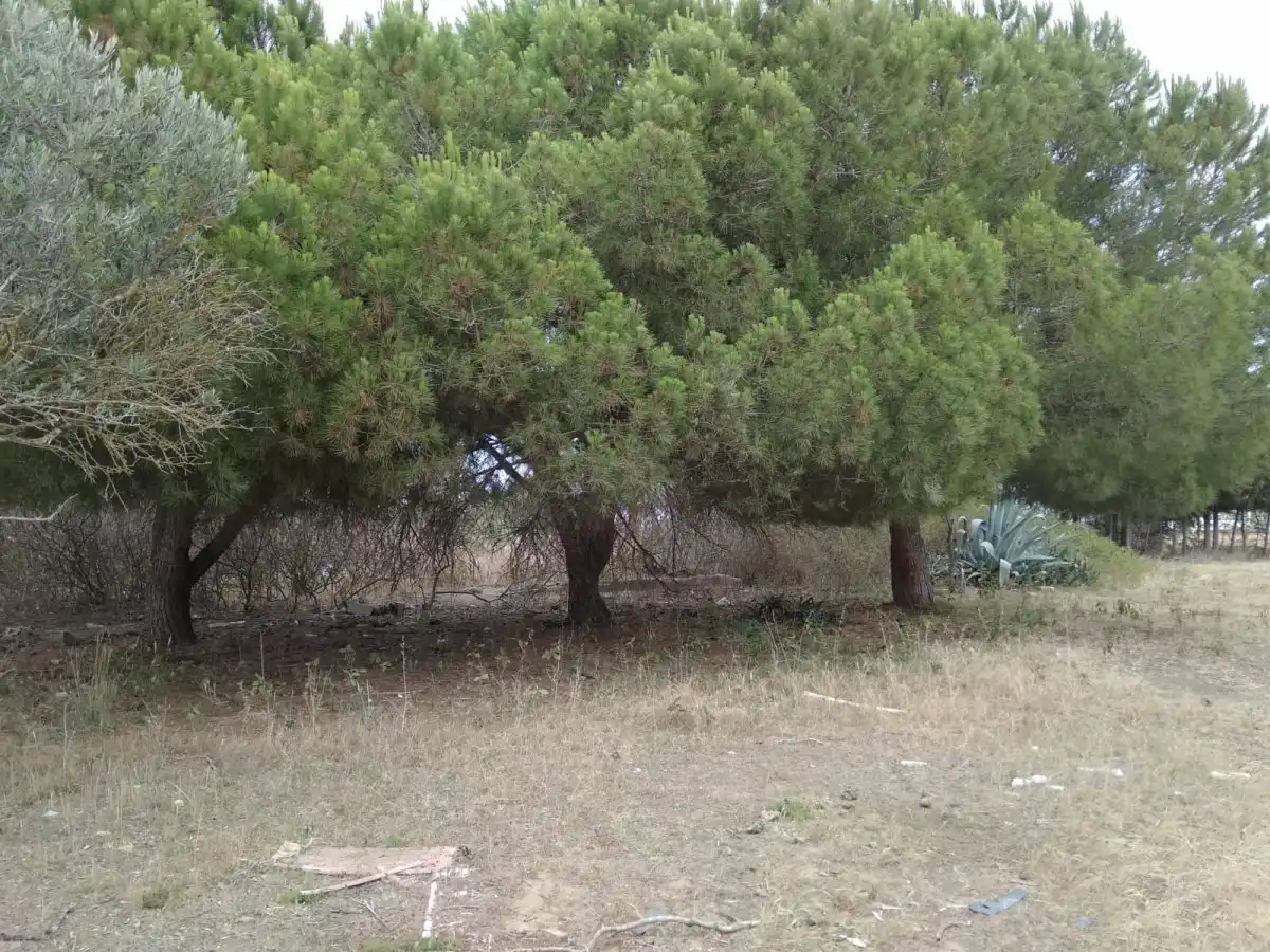 Terrenys i solars en venda a Las Canteras, imagen 2